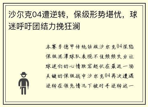 沙尔克04遭逆转，保级形势堪忧，球迷呼吁团结力挽狂澜